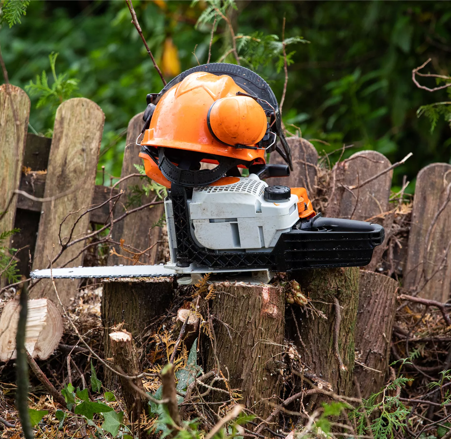 Gartenbau - Helm und Kettensäge